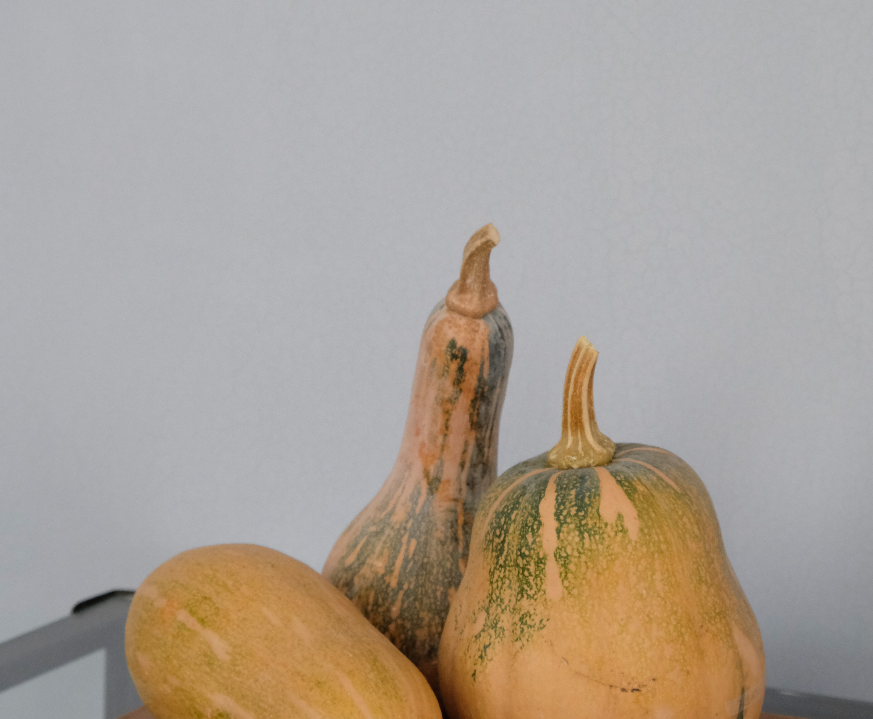 １１月の営業について