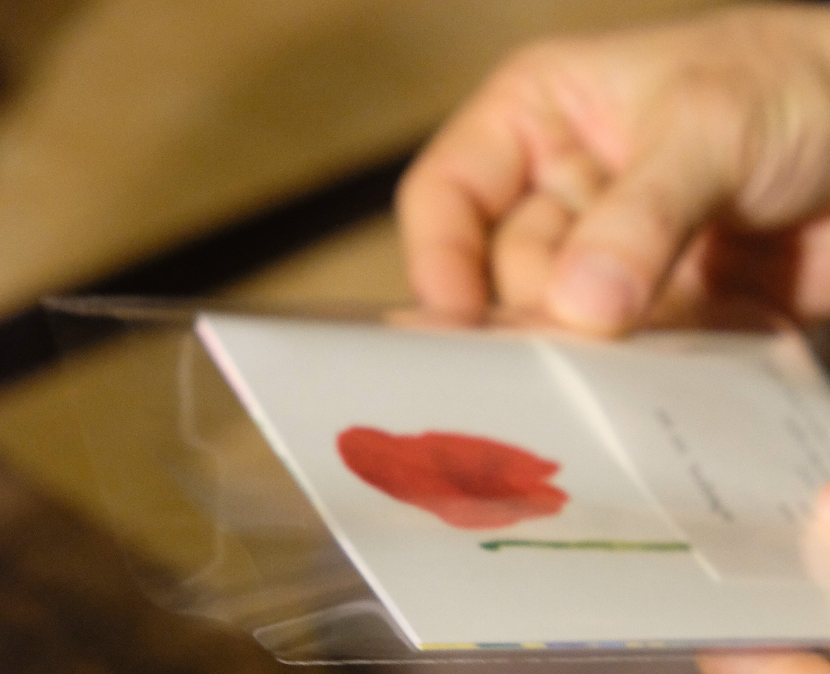 vol.24　桑迫賢太郎さんのポストカード 入荷しました