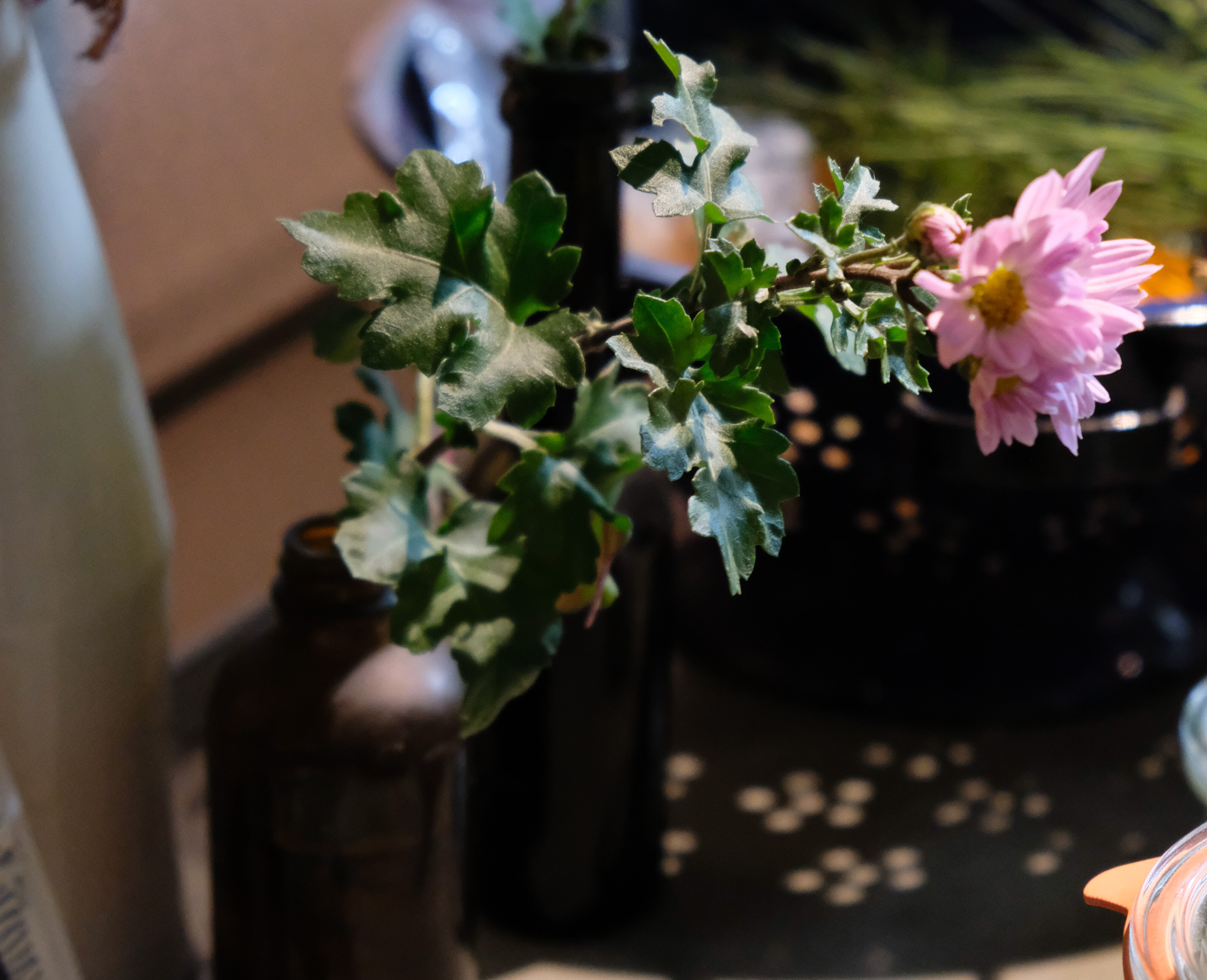 new |  オンラインショップ更新しました vol.24