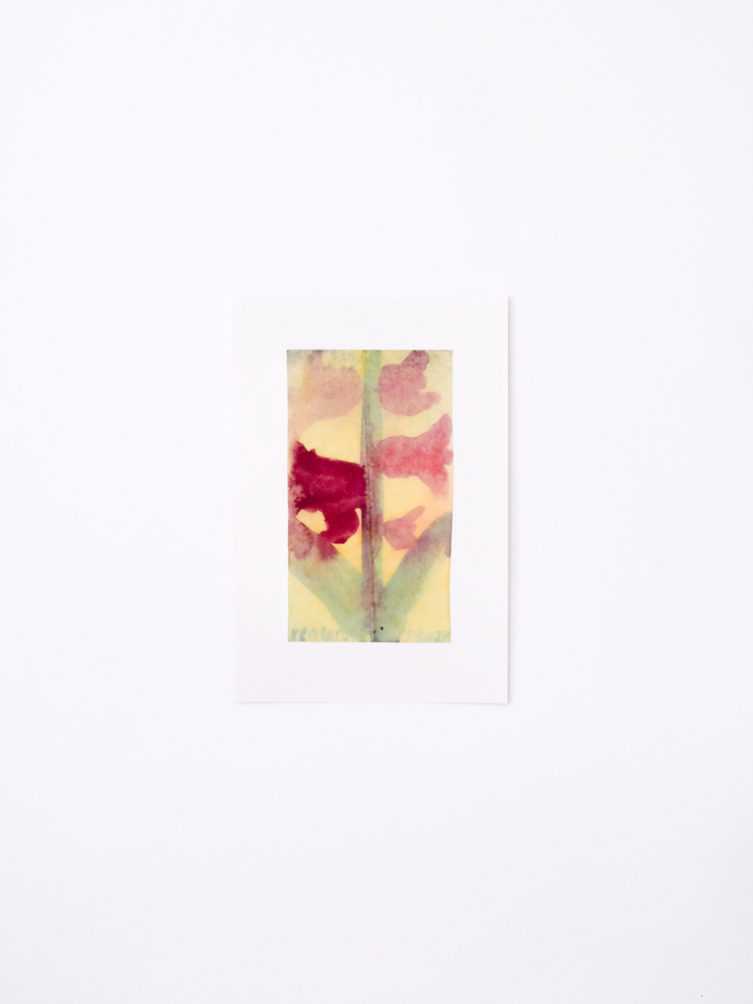 ポストカード３枚セット / あか