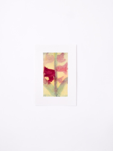 ポストカード３枚セット / あか