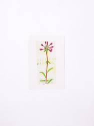 ポストカード３枚セット / あお