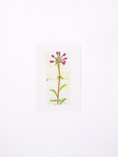 ポストカード３枚セット / あお