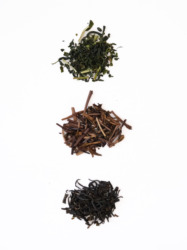 ほうじ茶 / リーフ