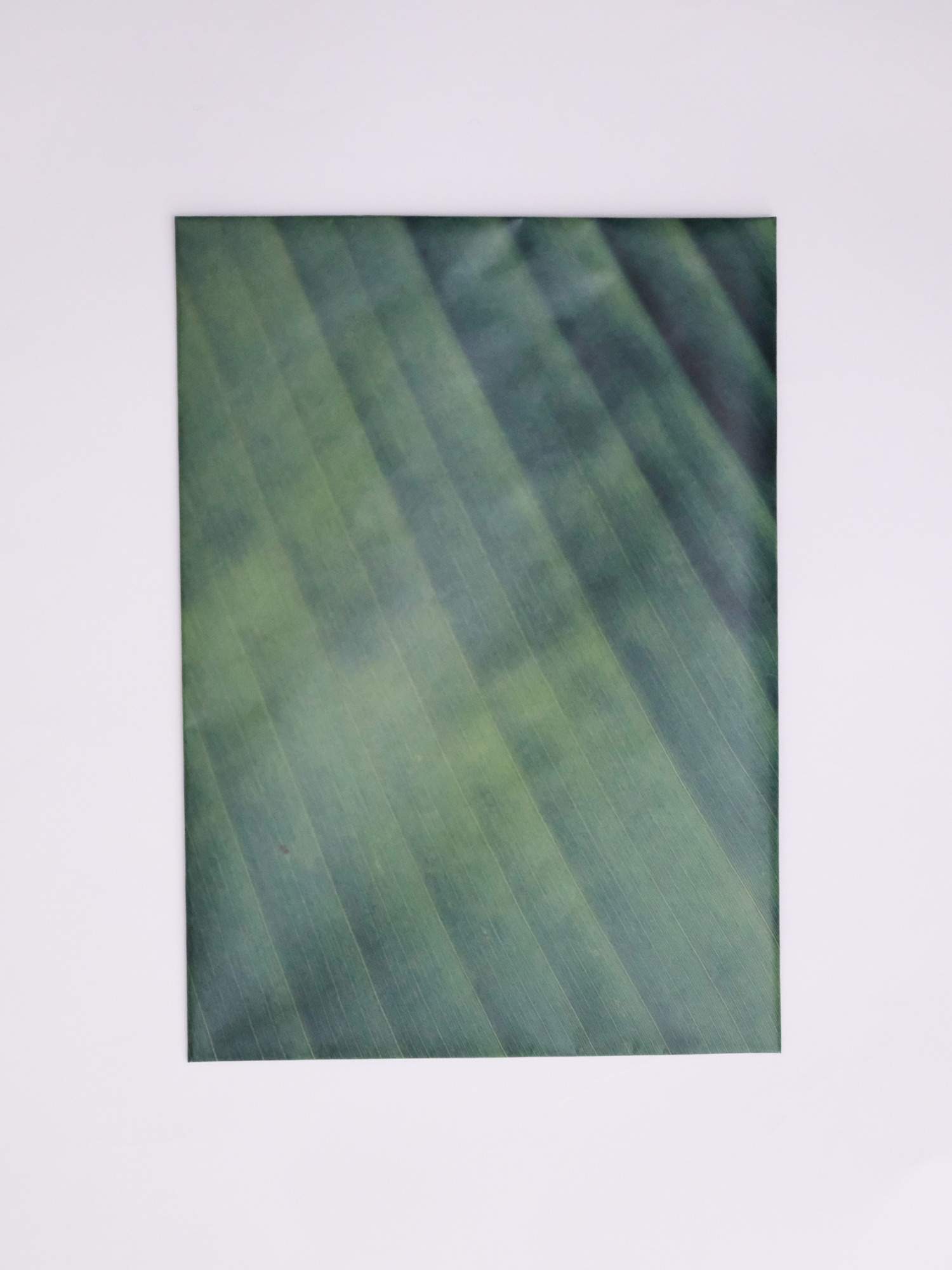 Photo ZINE 『BANANA-กล้วย-』 / YASUKO KOSAKA