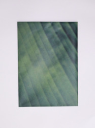 Photo ZINE 『BANANA-กล้วย-』 / YASUKO KOSAKA