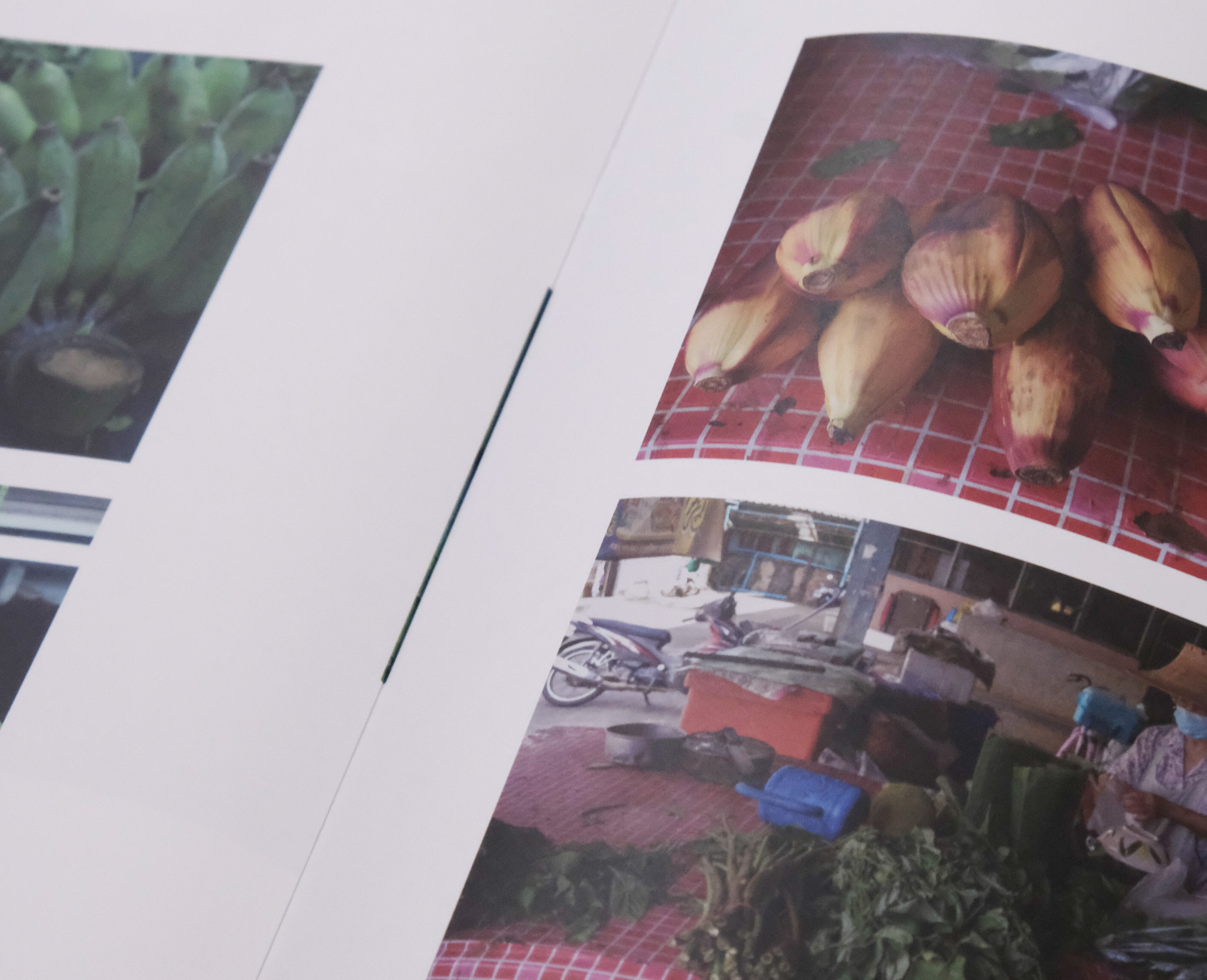 new | vol.30　新商品が入荷しました