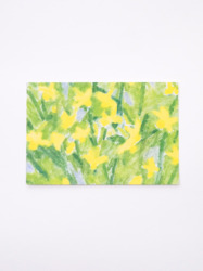ポストカード３枚セット / きいろ