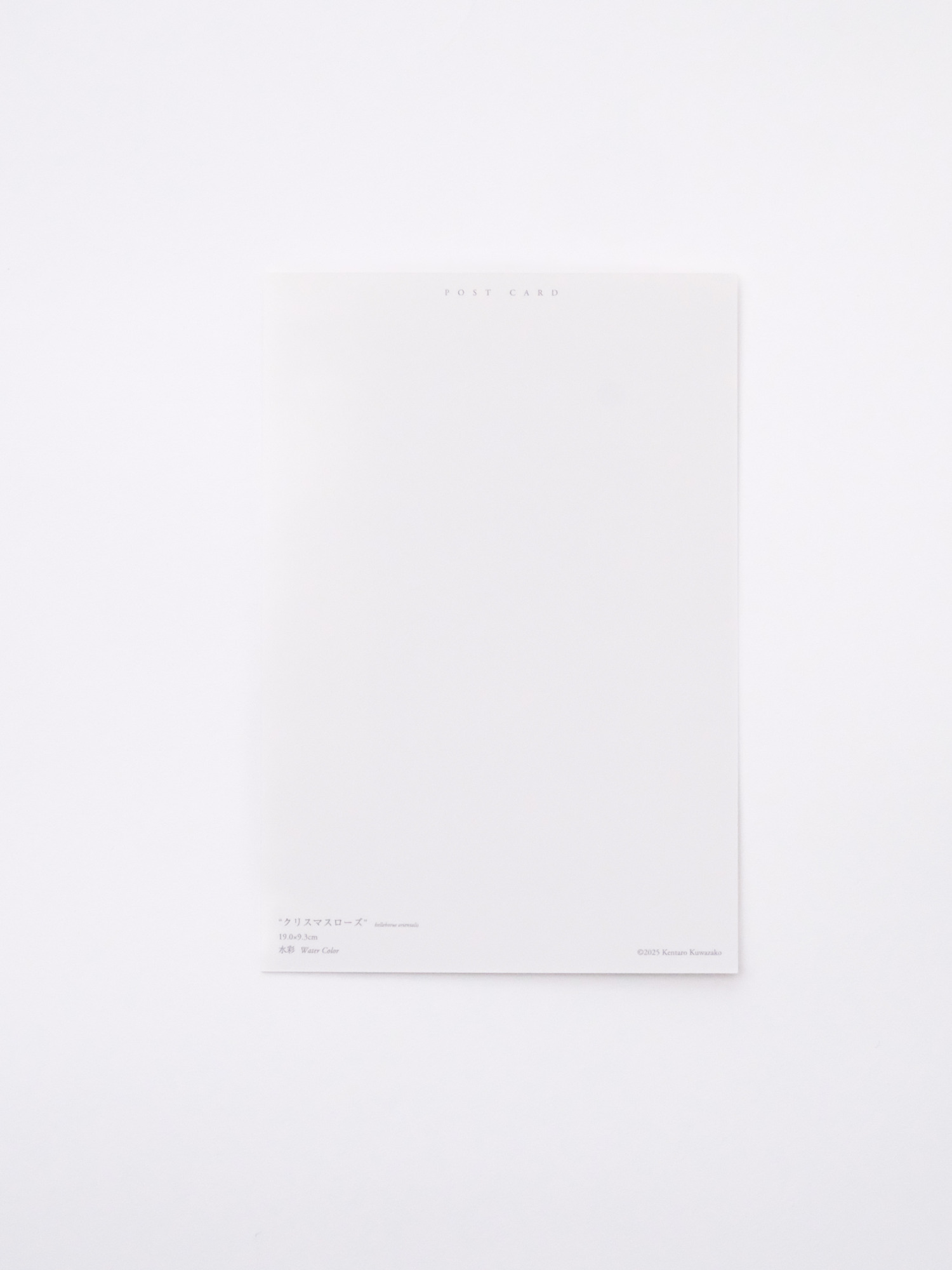 ポストカード３枚セット / みどり