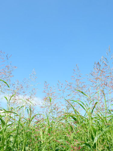 10月の臨時休業について