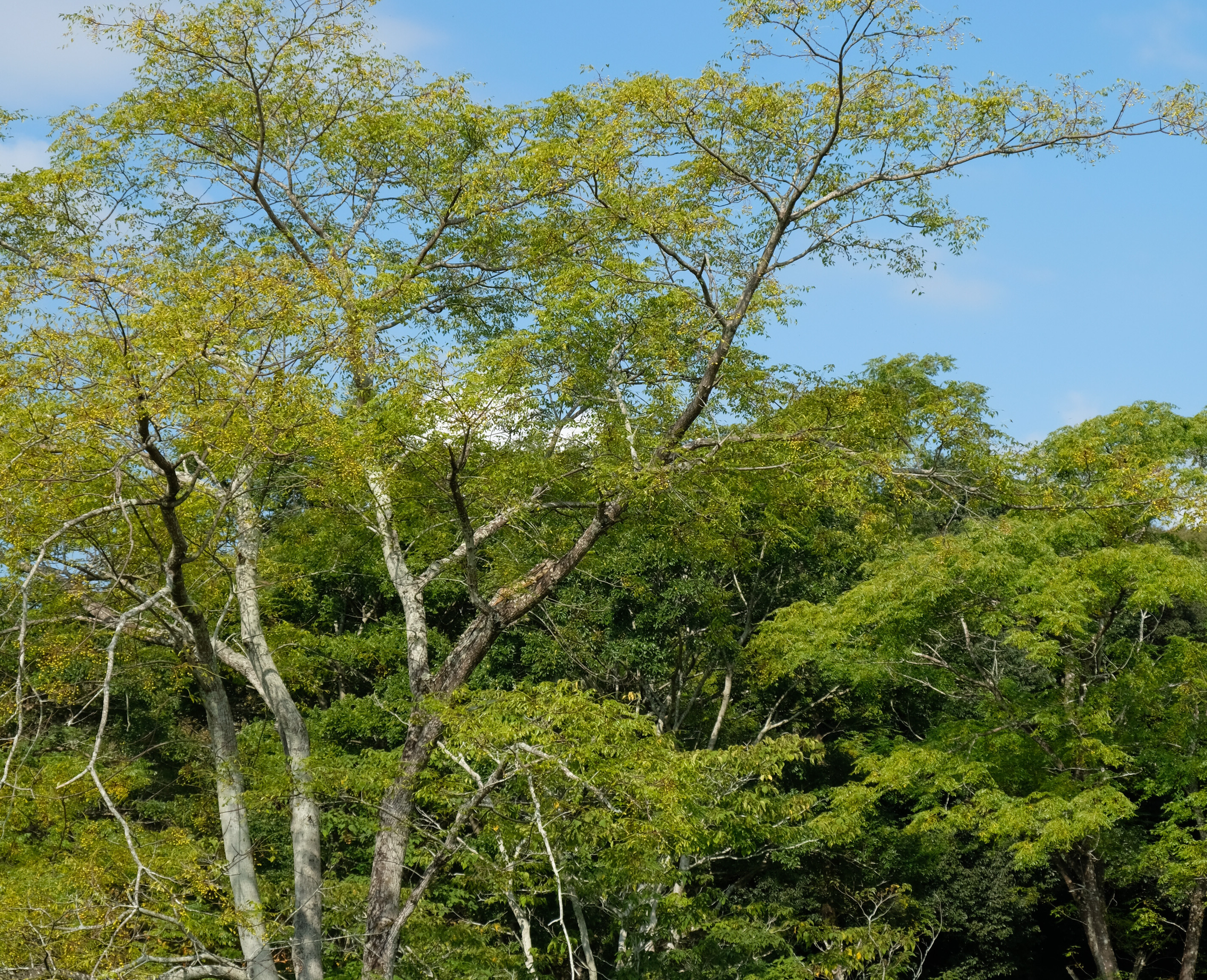 10月臨時休業について